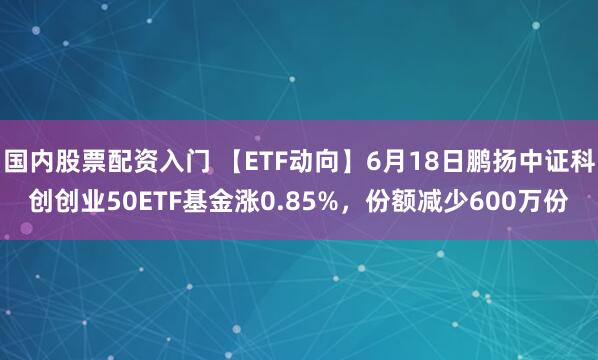 国内股票配资入门 【ETF动向】6月18日鹏扬中证科创创业50ETF基金涨0.85%，份额减少600万份